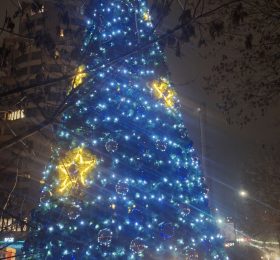 Грейна коледната елха в нашия район